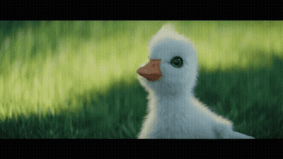 A Fluffy White Duck With A Red Beak Is Standing In The Grass GIF