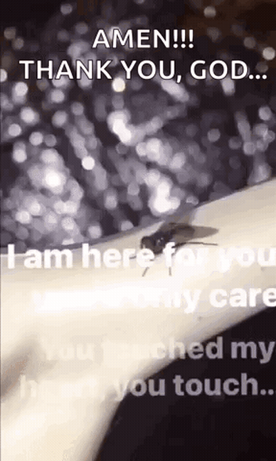 A Fly Is Crawling On A Person 'S Arm With The Words `` Amen !!! Thank You , God .. '' GIF