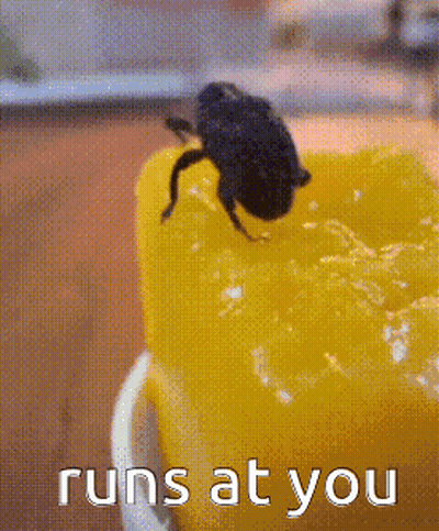A Fly Sitting On Top Of A Yellow Object With The Words Runs At You Written Below It GIF