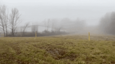 A Foggy Field With Trees And A Building In The Background GIF