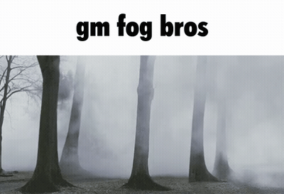 A Foggy Forest With The Words " Gm Fog Bros " At The Top GIF