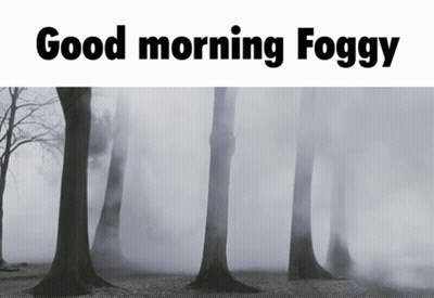 A Foggy Forest With The Words " Good Morning Foggy " Below It GIF
