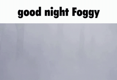 A Foggy Forest With The Words " Good Night Foggy " Below It GIF