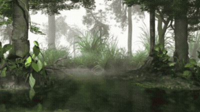 A Foggy Forest With Trees And Plants And A Pond GIF