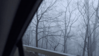 A Foggy Forest With Trees Without Leaves Is Seen Through A Window GIF