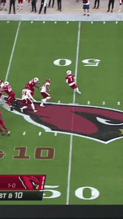 A Football Game Between The Cardinals And The Washington Redskins GIF