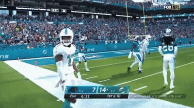 A Football Game Between The Dolphins And The Panthers Is Being Shown On Fox Nfl GIF