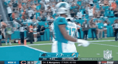 A Football Game Is Being Played Between The Panthers And Dolphins GIF
