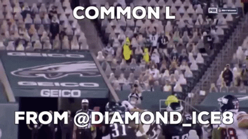A Football Game Is Being Played In Front Of A Crowd With The Words Common L From @ Diamond_ice8 GIF