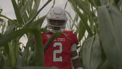 A Football Player For Ball State Is Standing In A Field Of Tall Grass GIF