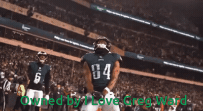 A Football Player Wearing A Jersey With The Number 84 On It GIF