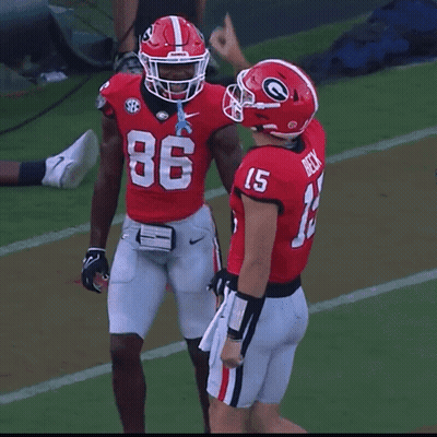 A Football Player Wearing A Red Jersey With The Number 15 On It GIF