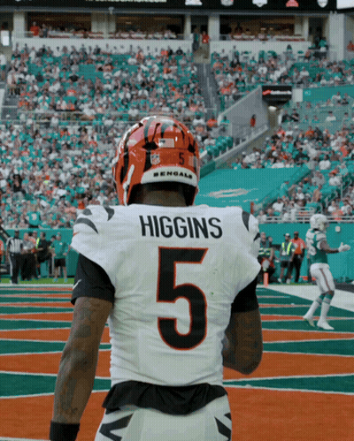 A Football Player With The Name Higgins On His Back GIF