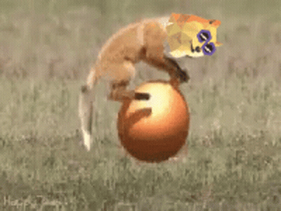 A Fox Is Jumping Over A Ball With A Doge On Its Head GIF