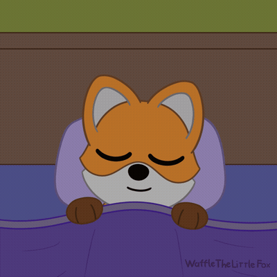 A Fox Is Sleeping Under A Blanket With The Words Good Night Written Above It GIF