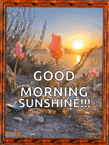 A Framed Picture Of Flowers With The Words Good Morning Sunshine GIF