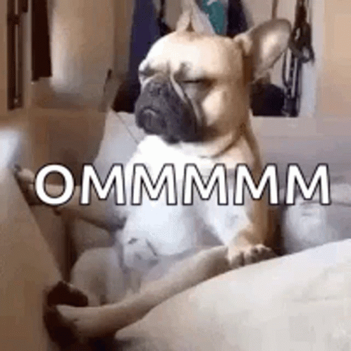 A French Bulldog Is Sitting On A Couch With Its Legs Crossed And Looking At The Camera . GIF