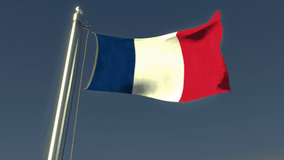 A French Flag Is Waving In The Wind GIF
