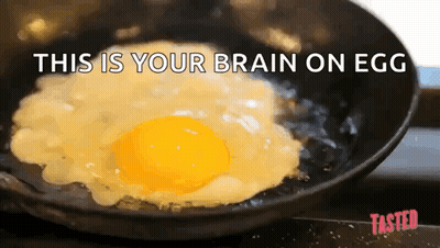 A Fried Egg In A Frying Pan With The Words This Is Your Brain On Egg GIF