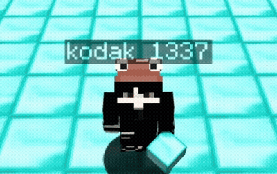 A Frog In A Video Game With Kodak 1337 Above It GIF
