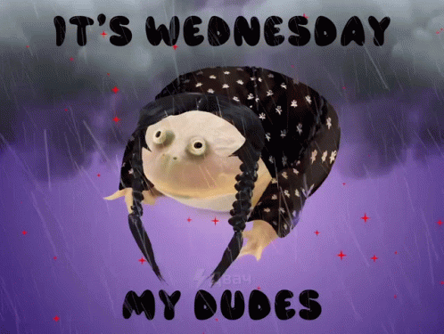 A Frog In The Rain With The Words It 'S Wednesday My Dudes On The Bottom GIF