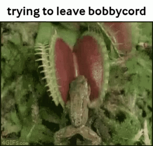 A Frog Is Eating A Carnivorous Plant With A Caption That Says `` Trying To Leave Bobbycord '' . GIF