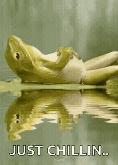 A Frog Is Laying On A Leaf In The Water With The Words Just Chillin GIF