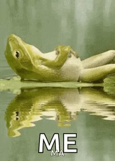 A Frog Is Laying On A Leaf In The Water With The Words `` Me '' Below It . GIF