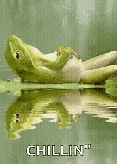 A Frog Is Laying On A Lily Pad In The Water And Says `` Chillin '' . GIF