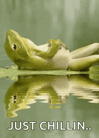 A Frog Is Laying On A Lily Pad In The Water With The Words Just Chillin Below It . GIF