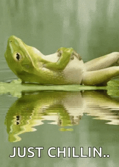A Frog Is Laying On A Lily Pad In The Water With The Words Just Chillin Below It . GIF
