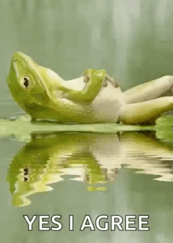 A Frog Is Laying On Top Of A Leaf In The Water . GIF