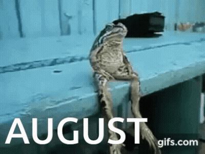 A Frog Is Sitting On A Bench With The Words August Gifs.com GIF