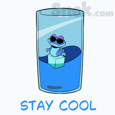A Frog Is Sitting On A Ice Cube In A Glass Of Water With The Words Stay Cool Below It GIF