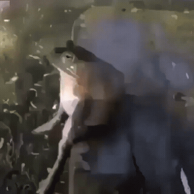 A Frog Is Standing In Front Of A Crowd Of People . GIF