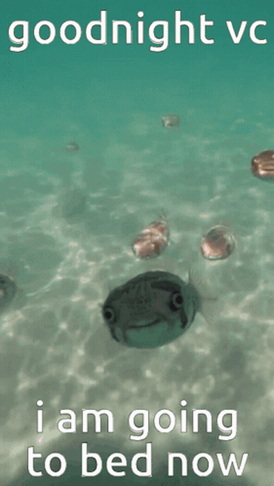 A Frog Is Swimming In The Water With The Words Goodnight Vc I Am Going To Bed Now On The Bottom GIF
