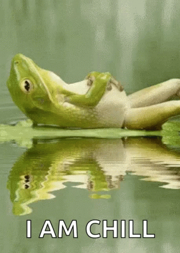 A Frog Laying On A Leaf In The Water With The Words I Am Chill Below It GIF