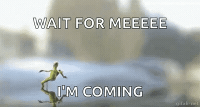 A Frog Says Wait For Meeeee I 'M Coming In Front Of A Car GIF