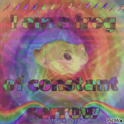A Frog With The Words I Am A Frog Of Constant Sorrow GIF
