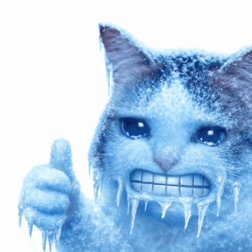 A Frozen Cat Giving A Thumbs Up Sign GIF