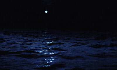 A Full Moon Is Reflected In The Dark Waters Of The Ocean GIF
