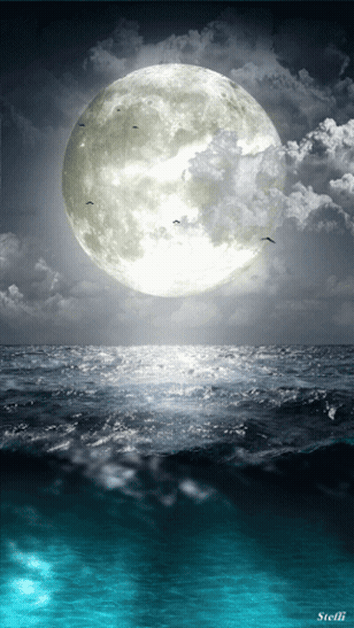 A Full Moon Over A Body Of Water With The Name Stefli On The Bottom GIF
