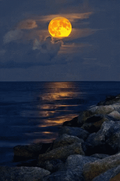 A Full Moon Rises Over The Ocean With A Rocky Shoreline In The Foreground GIF
