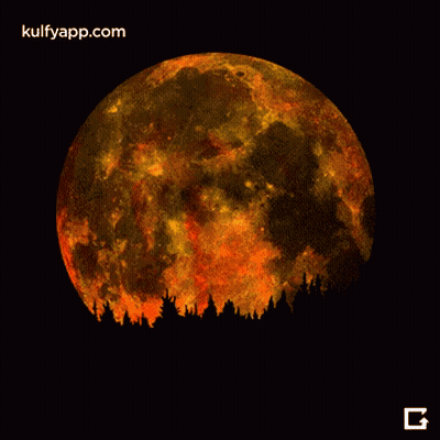 A Full Moon With A Silhouette Of Trees In Front Of It And The Website Kulfyapp.com GIF