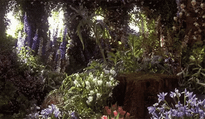 A Garden Filled With Lots Of Flowers And Plants GIF