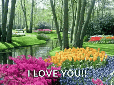 A Garden With Flowers And Trees And A River In The Background And The Words `` I Love You '' GIF