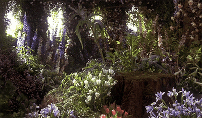 A Garden With Purple And White Flowers And A Tree Stump GIF