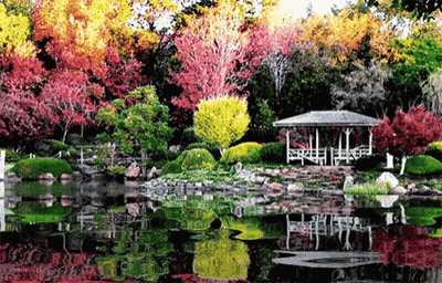 A Gazebo Sits In The Middle Of A Lush Green Forest GIF