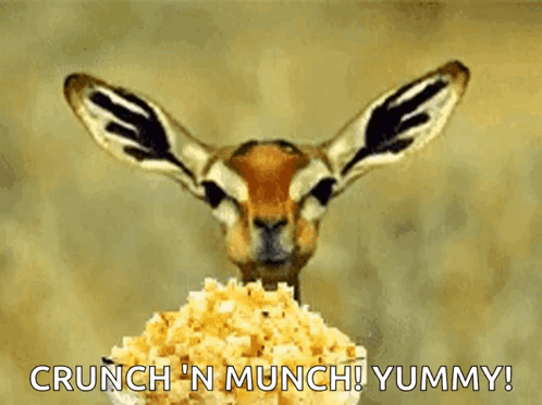 A Gazelle Is Looking At A Bowl Of Food With The Words Crunch N Munch Yummy Written Below It GIF