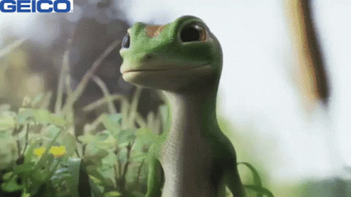 A Geico Ad With A Green Lizard In The Grass GIF